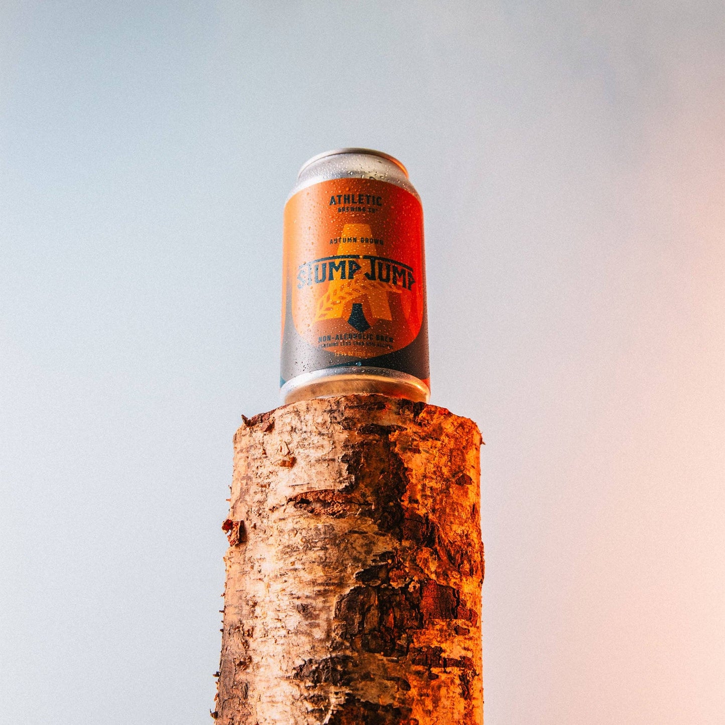 Stump Jump Autumn Brown: 6-pack