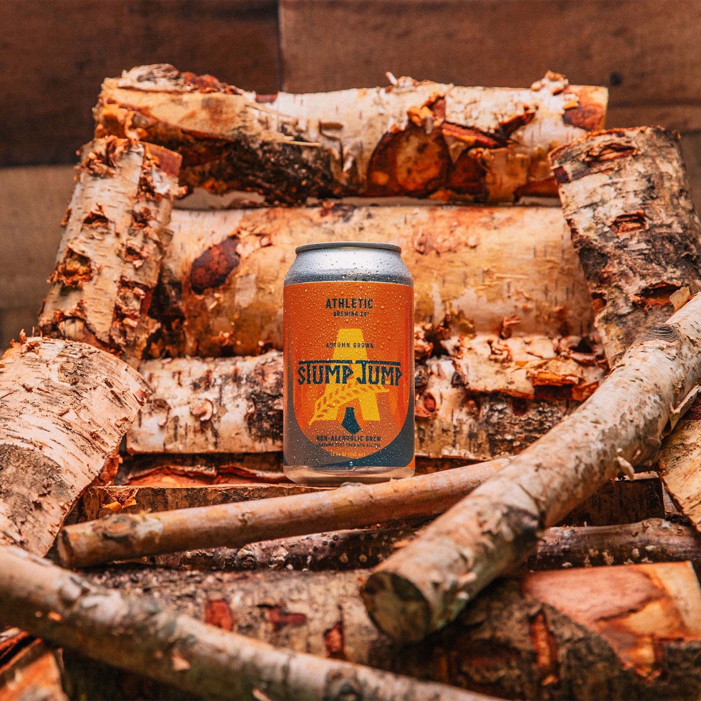 Stump Jump Autumn Brown: 6-pack